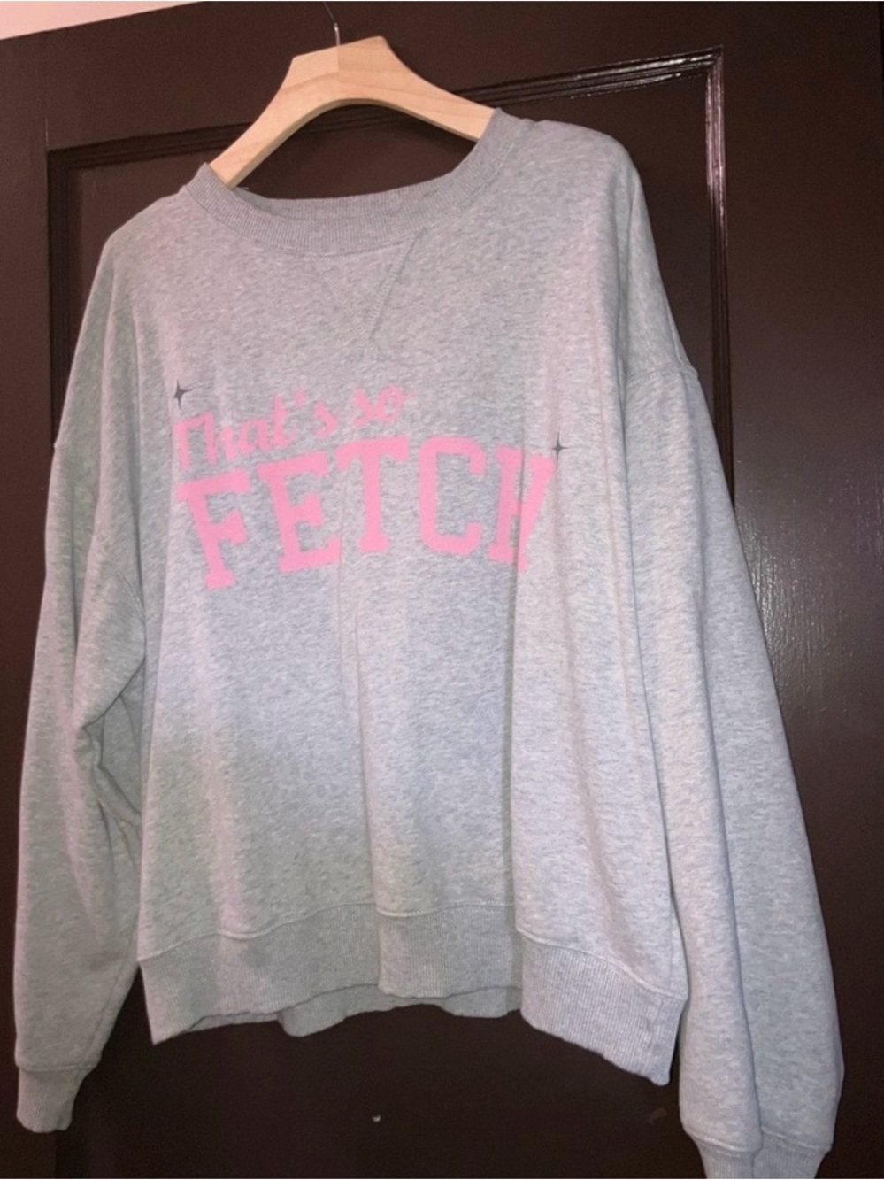 American Eagle Outfitters Gray Crewneck Sweatshirt with Pink 'FETCH' Graphic